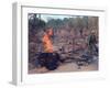 Viet Cong Burning-Horst Faas-Framed Premium Photographic Print