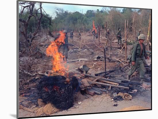 Viet Cong Burning-Horst Faas-Mounted Premium Photographic Print