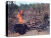 Viet Cong Burning-Horst Faas-Stretched Canvas