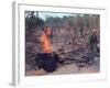 Viet Cong Burning-Horst Faas-Framed Photographic Print