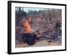 Viet Cong Burning-Horst Faas-Framed Photographic Print