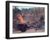 Viet Cong Burning-Horst Faas-Framed Photographic Print