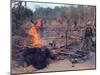 Viet Cong Burning-Horst Faas-Mounted Photographic Print