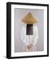 Vietnam, Back View-Lincoln Seligman-Framed Giclee Print