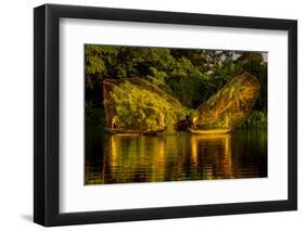 Vietnam. Butterfly net fishing. Fishermen working in complete synchronization.-Tom Norring-Framed Photographic Print