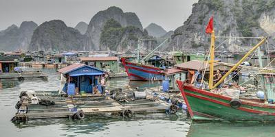 https://imgc.allpostersimages.com/img/posters/vietnam-cat-ba-island-ha-long-bay-boats-and-floating-houses_u-L-PRPZ9R0.jpg?artPerspective=n