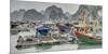 Vietnam, Cat Ba Island, Ha Long Bay. Boats and Floating Houses-Matt Freedman-Mounted Photographic Print