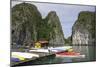 Vietnam, Cat Ba Island, Ha Long Bay. Floating House with Kayaks-Matt Freedman-Mounted Photographic Print