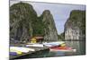 Vietnam, Cat Ba Island, Ha Long Bay. Floating House with Kayaks-Matt Freedman-Mounted Photographic Print