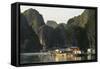 Vietnam, Cat Ba Island, Ha Long Bay. Floating Village-Matt Freedman-Framed Stretched Canvas