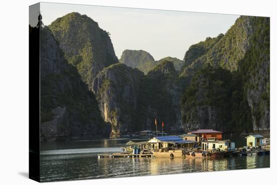 Vietnam, Cat Ba Island, Ha Long Bay. Floating Village-Matt Freedman-Stretched Canvas