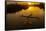 Vietnam. Coordinated lagoon fishing with nets at sunset.-Tom Norring-Framed Stretched Canvas