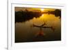 Vietnam. Coordinated lagoon fishing with nets at sunset.-Tom Norring-Framed Photographic Print