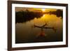 Vietnam. Coordinated lagoon fishing with nets at sunset.-Tom Norring-Framed Photographic Print