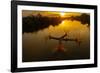 Vietnam. Coordinated lagoon fishing with nets at sunset.-Tom Norring-Framed Photographic Print