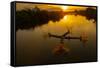 Vietnam. Coordinated lagoon fishing with nets at sunset.-Tom Norring-Framed Stretched Canvas