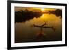 Vietnam. Coordinated lagoon fishing with nets at sunset.-Tom Norring-Framed Photographic Print