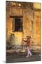 Vietnam, Danang, Hoi an Old Town (Unesco Site)-Michele Falzone-Mounted Photographic Print