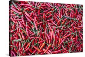 Vietnam, Dien Bien Phu. City Market, Chilies-Walter Bibikow-Stretched Canvas