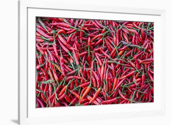 Vietnam, Dien Bien Phu. City Market, Chilies-Walter Bibikow-Framed Photographic Print