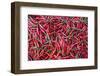 Vietnam, Dien Bien Phu. City Market, Chilies-Walter Bibikow-Framed Photographic Print