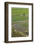 Vietnam, Dien Bien Phu. Rice Fields-Walter Bibikow-Framed Photographic Print