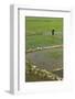 Vietnam, Dien Bien Phu. Rice Fields-Walter Bibikow-Framed Photographic Print