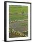 Vietnam, Dien Bien Phu. Rice Fields-Walter Bibikow-Framed Photographic Print