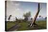 Vietnam, Dmz Area. Quang Tri Province, Khe Sanh, Fch-47 Chinook Helicopter-Walter Bibikow-Stretched Canvas