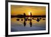 Vietnam. Doc Let Salt lake. Workers harvesting the salt. Early morning sunrise.-Tom Norring-Framed Photographic Print