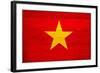 Vietnam Flag Design with Wood Patterning - Flags of the World Series-Philippe Hugonnard-Framed Art Print