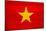 Vietnam Flag Design with Wood Patterning - Flags of the World Series-Philippe Hugonnard-Mounted Art Print