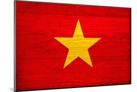 Vietnam Flag Design with Wood Patterning - Flags of the World Series-Philippe Hugonnard-Mounted Art Print