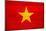 Vietnam Flag Design with Wood Patterning - Flags of the World Series-Philippe Hugonnard-Mounted Art Print