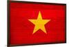 Vietnam Flag Design with Wood Patterning - Flags of the World Series-Philippe Hugonnard-Framed Art Print