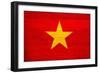 Vietnam Flag Design with Wood Patterning - Flags of the World Series-Philippe Hugonnard-Framed Premium Giclee Print