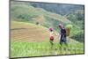 Vietnam. Grandma taking care of granddaughter. Farming community with traditional Sapa dresses.-Tom Norring-Mounted Photographic Print