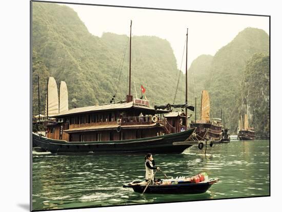 Vietnam, Halong Bay and Tourist Junk Boat-Steve Vidler-Mounted Photographic Print