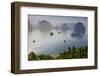 Vietnam, Halong Bay, Tito Island, Elevated View of Halong Bay-Walter Bibikow-Framed Photographic Print