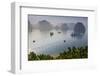 Vietnam, Halong Bay, Tito Island, Elevated View of Halong Bay-Walter Bibikow-Framed Photographic Print