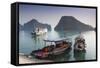 Vietnam, Halong Bay, Tito Island, Water Taxis-Walter Bibikow-Framed Stretched Canvas