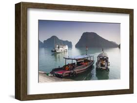 Vietnam, Halong Bay, Tito Island, Water Taxis-Walter Bibikow-Framed Photographic Print