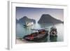 Vietnam, Halong Bay, Tito Island, Water Taxis-Walter Bibikow-Framed Photographic Print