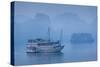 Vietnam, Halong Bay, Tourist Boats, Dawn-Walter Bibikow-Stretched Canvas