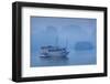 Vietnam, Halong Bay, Tourist Boats, Dawn-Walter Bibikow-Framed Photographic Print