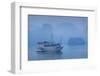 Vietnam, Halong Bay, Tourist Boats, Dawn-Walter Bibikow-Framed Photographic Print