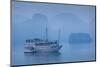 Vietnam, Halong Bay, Tourist Boats, Dawn-Walter Bibikow-Mounted Photographic Print