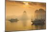 Vietnam, Halong Bay, Tourist Boats, Sunrise-Walter Bibikow-Mounted Photographic Print