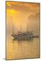 Vietnam, Halong Bay, Tourist Boats, Sunrise-Walter Bibikow-Mounted Photographic Print