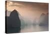 Vietnam, Halong Bay, Tourist Boats, Sunrise-Walter Bibikow-Stretched Canvas